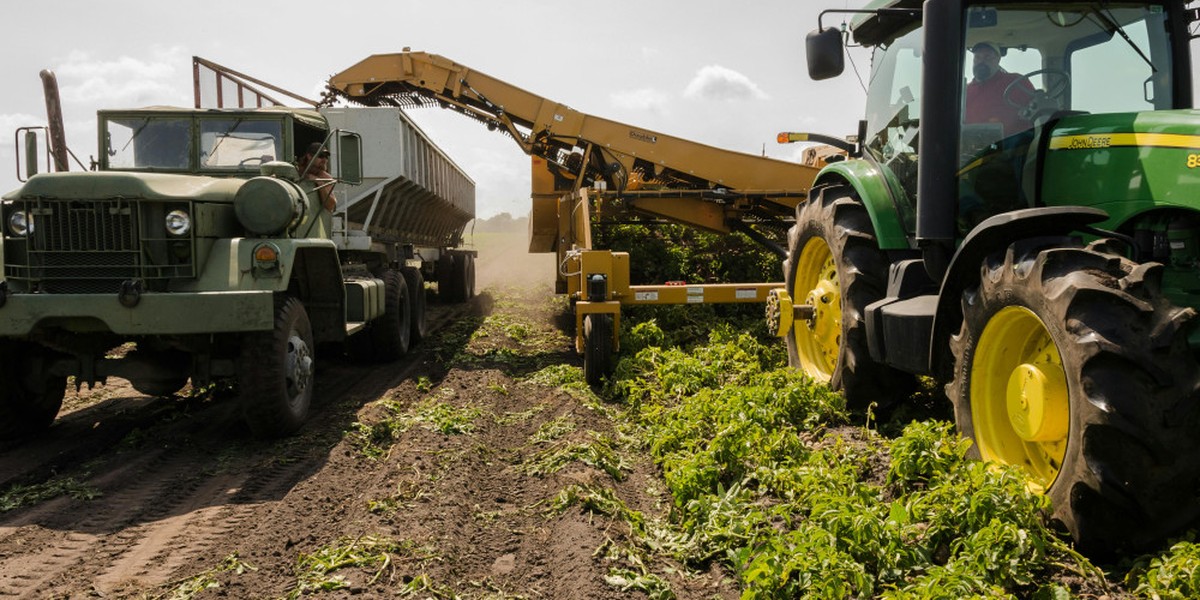 Erzeugerpreise in der Landwirtschaft fallen im Oktober 2025 um 1,7 Prozent Erzeugerpreise in der Landwirtschaft fallen im Oktober 2025 um 1,7 Prozent