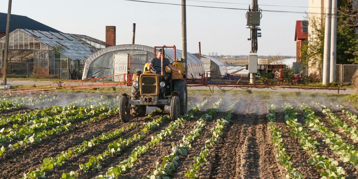 Weniger Klärschlamm auf Feldern, mehr Verbrennung im Jahr 2024